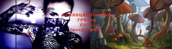 стаф Баксан