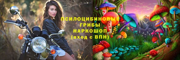 СК Арсеньев