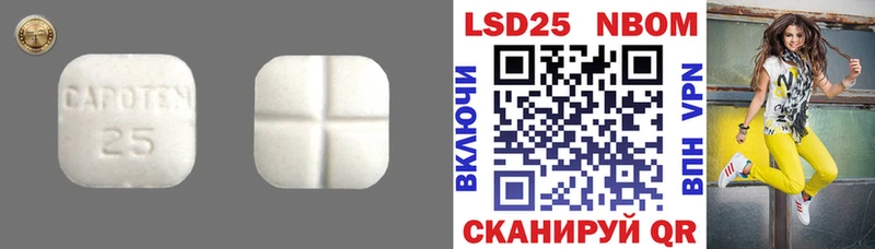 LSD-25 экстази ecstasy  где продают   Каргополь 