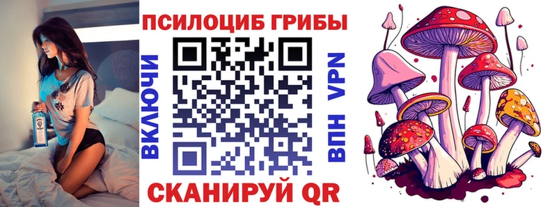 Галлюциногенные грибы MAGIC MUSHROOMS  закладка  Каргополь 